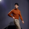 Alternative view of Tan Full Sleeves Turtle Neck